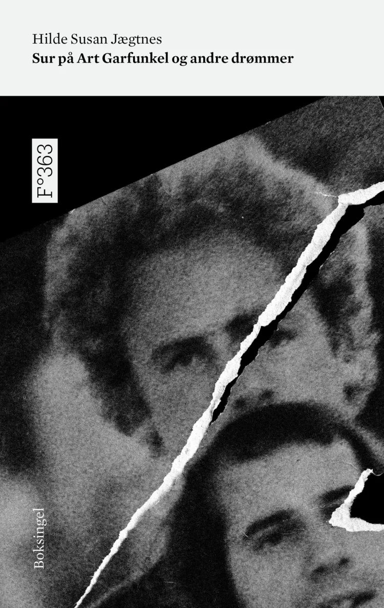 Omslag Sur på Art Garfunkel og andre drømmer av Hilde Susan Jægtnes (Heftet)