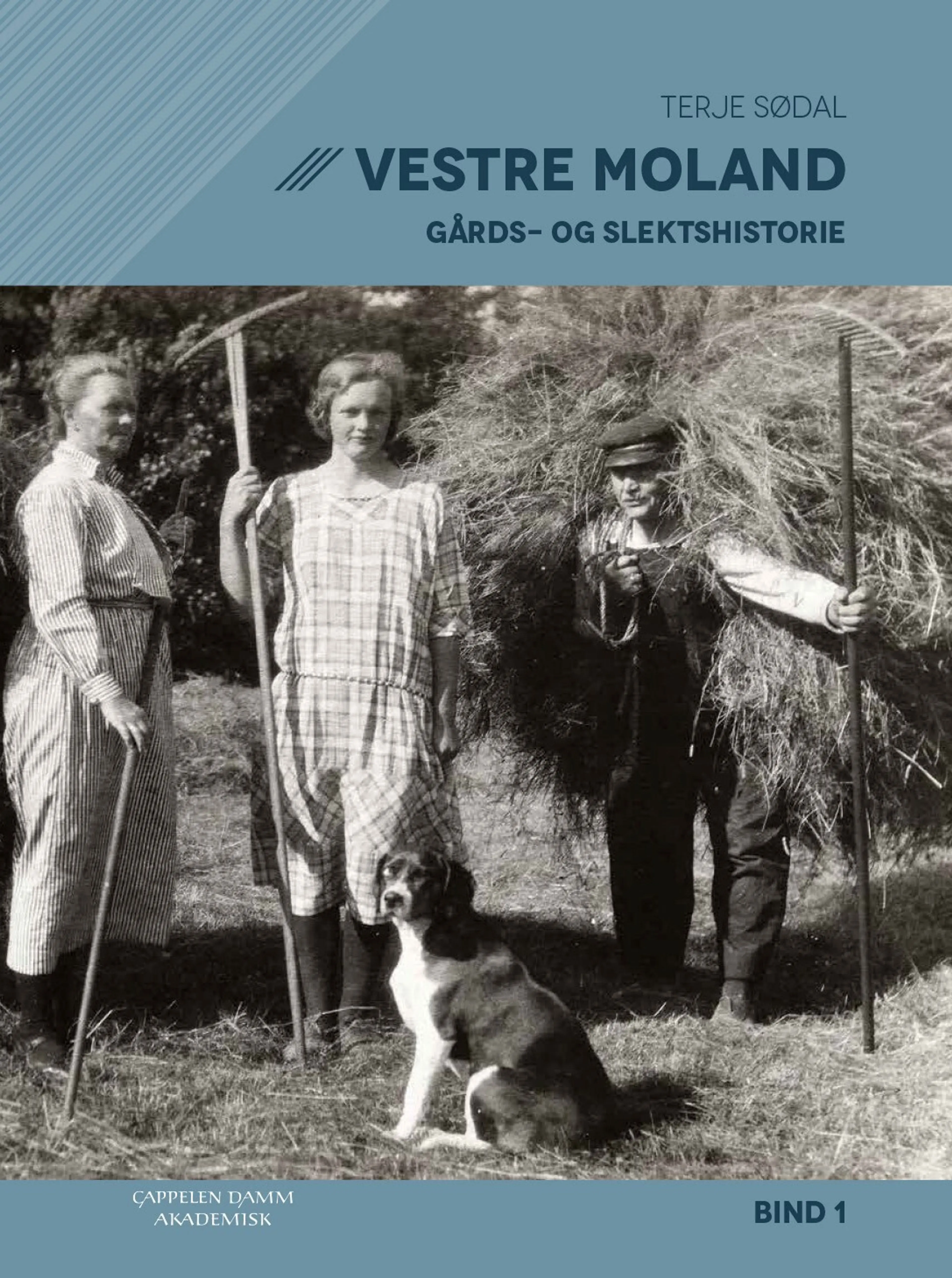 Omslag Vestre Moland av Terje Sødal (Innbundet)