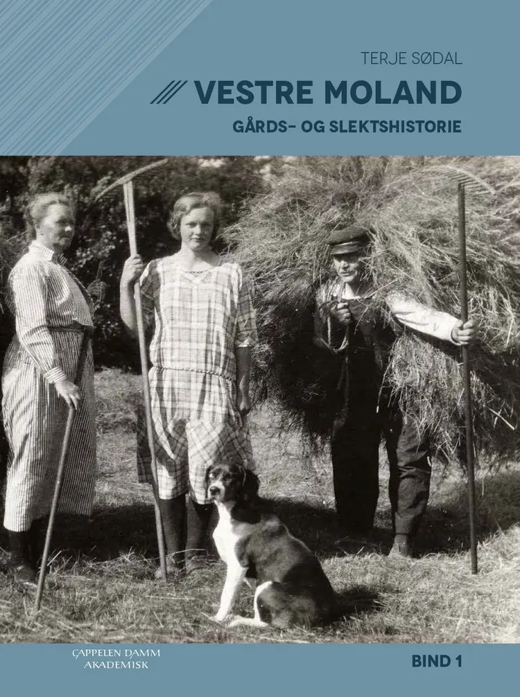 Omslag Vestre Moland av Terje Sødal (Innbundet)