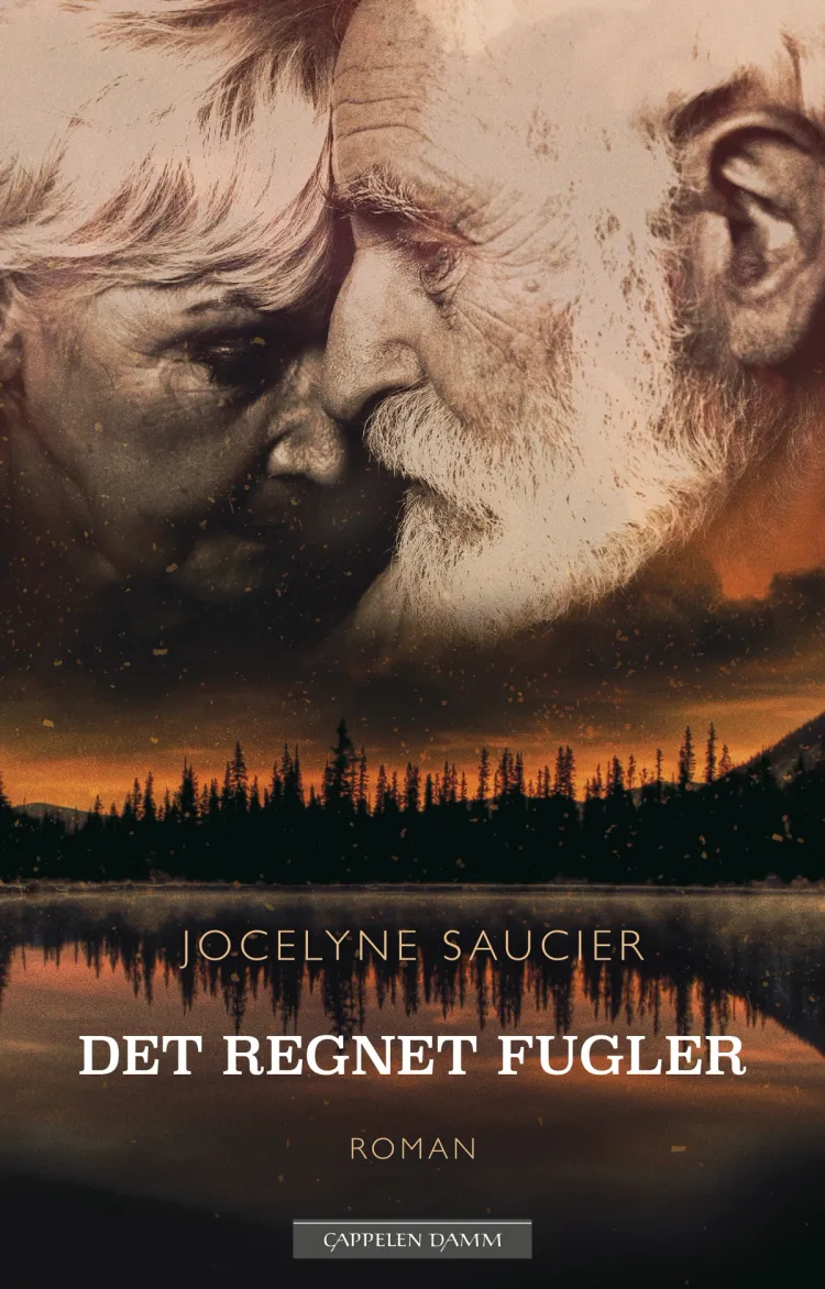 Omslag Det regnet fugler av Jocelyne Saucier (Ebok)