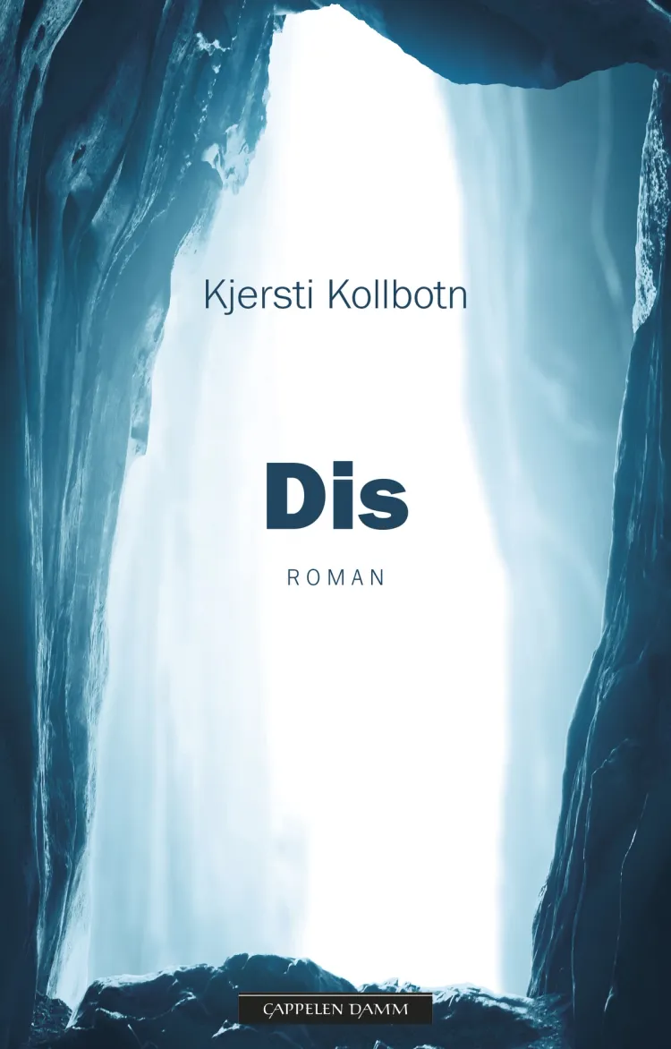 Omslag Dis av Kjersti Kollbotn (Ebok)
