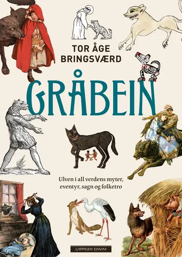Omslag GRÅBEIN av Tor Åge Bringsværd (Innbundet)