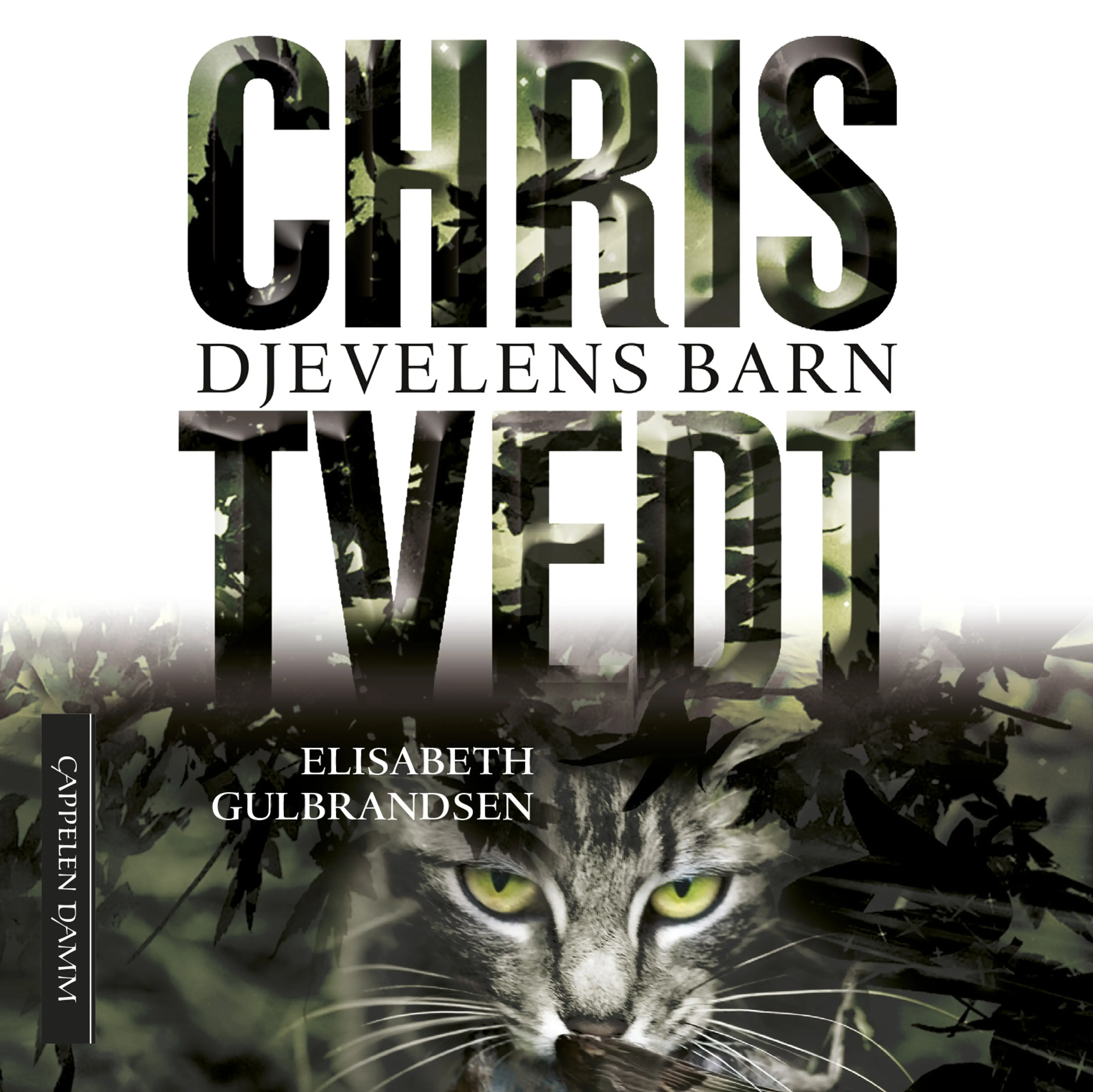 Omslag Djevelens barn av Chris Tvedt og Elisabeth Gulbrandsen (Lydbok)