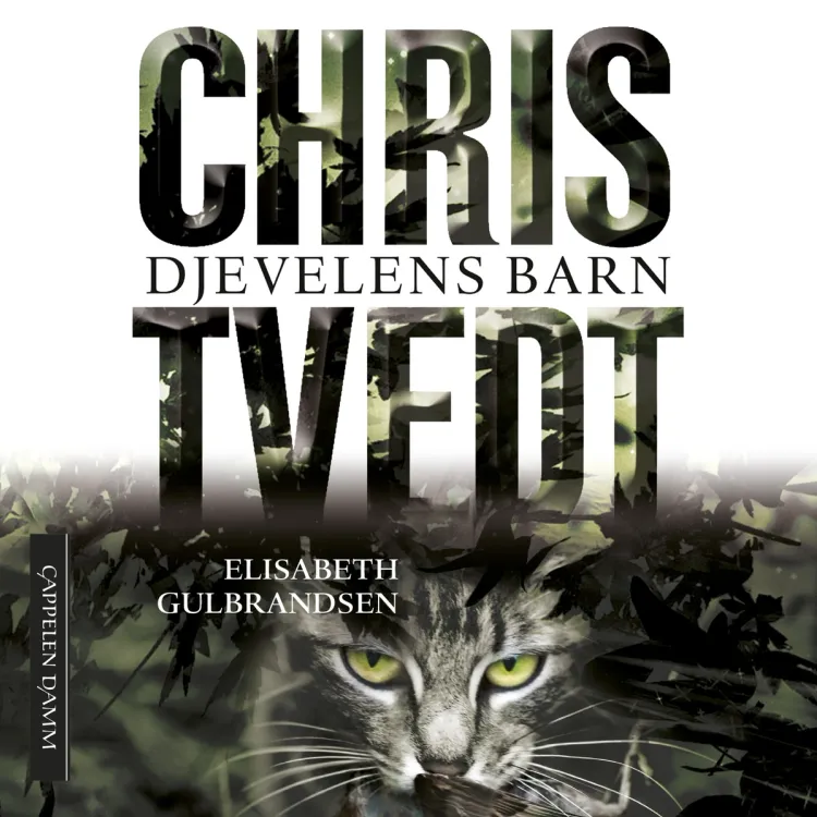 Omslag Djevelens barn av Chris Tvedt og Elisabeth Gulbrandsen (Lydbok)