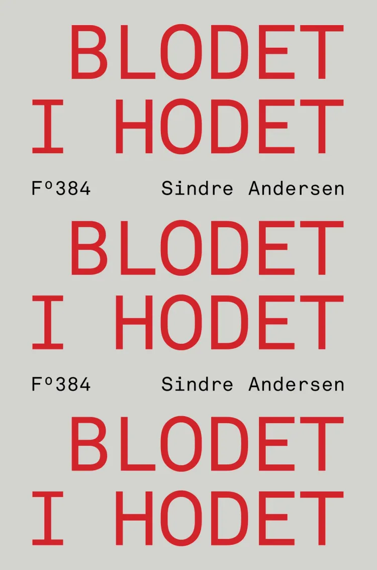 Omslag Blodet i hodet av Sindre Andersen (Innbundet)
