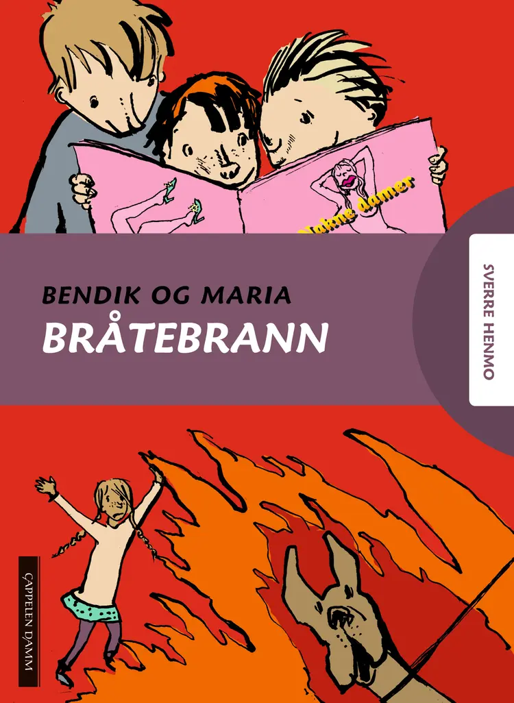 Omslag Bråtebrann av Sverre Henmo (Innbundet)