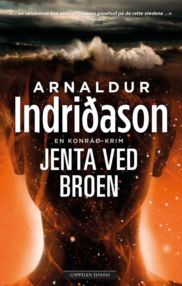 Omslag Jenta ved broen av Arnaldur Indridason (Innbundet)