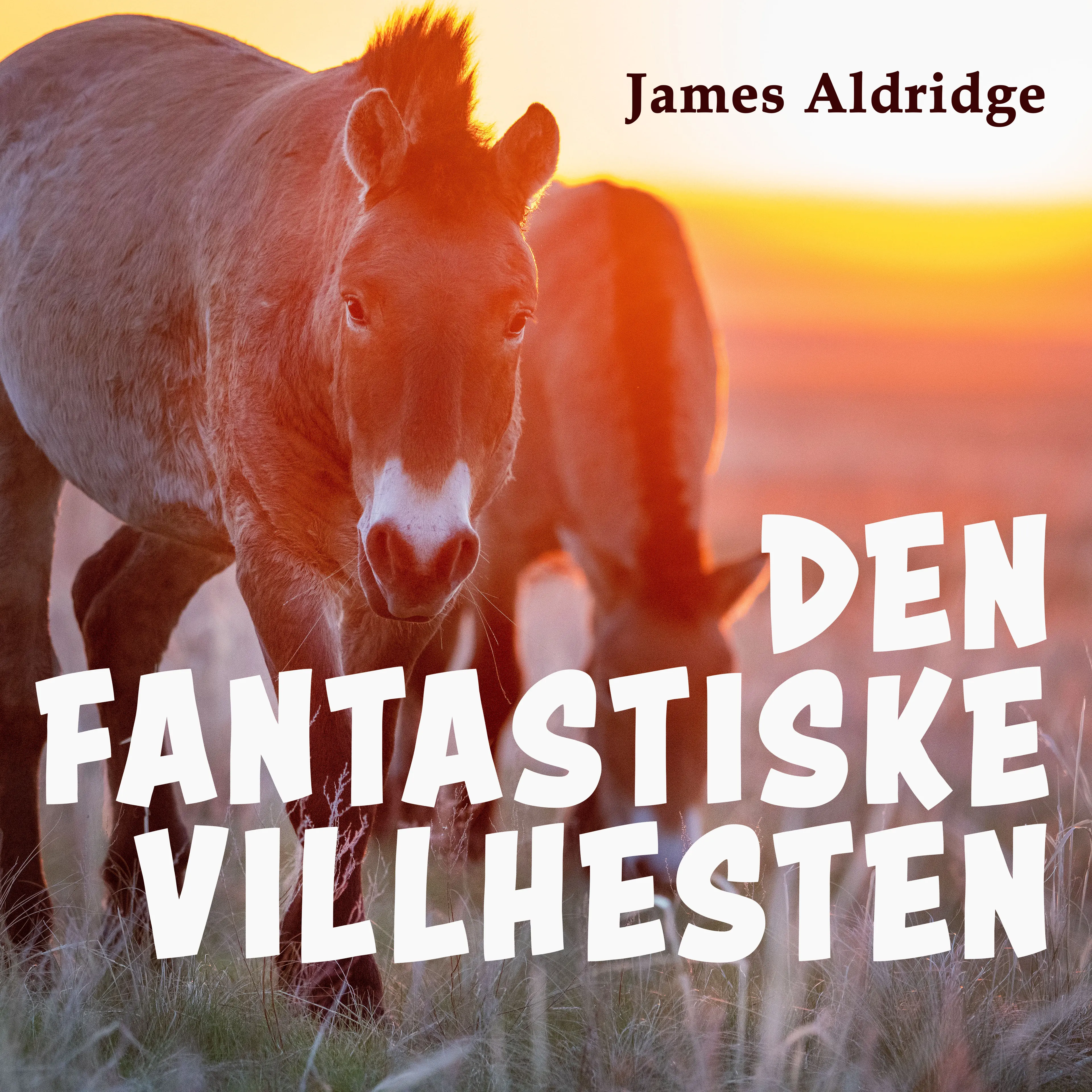 Omslag Den fantastiske villhesten av James Aldridge (Lydbok)