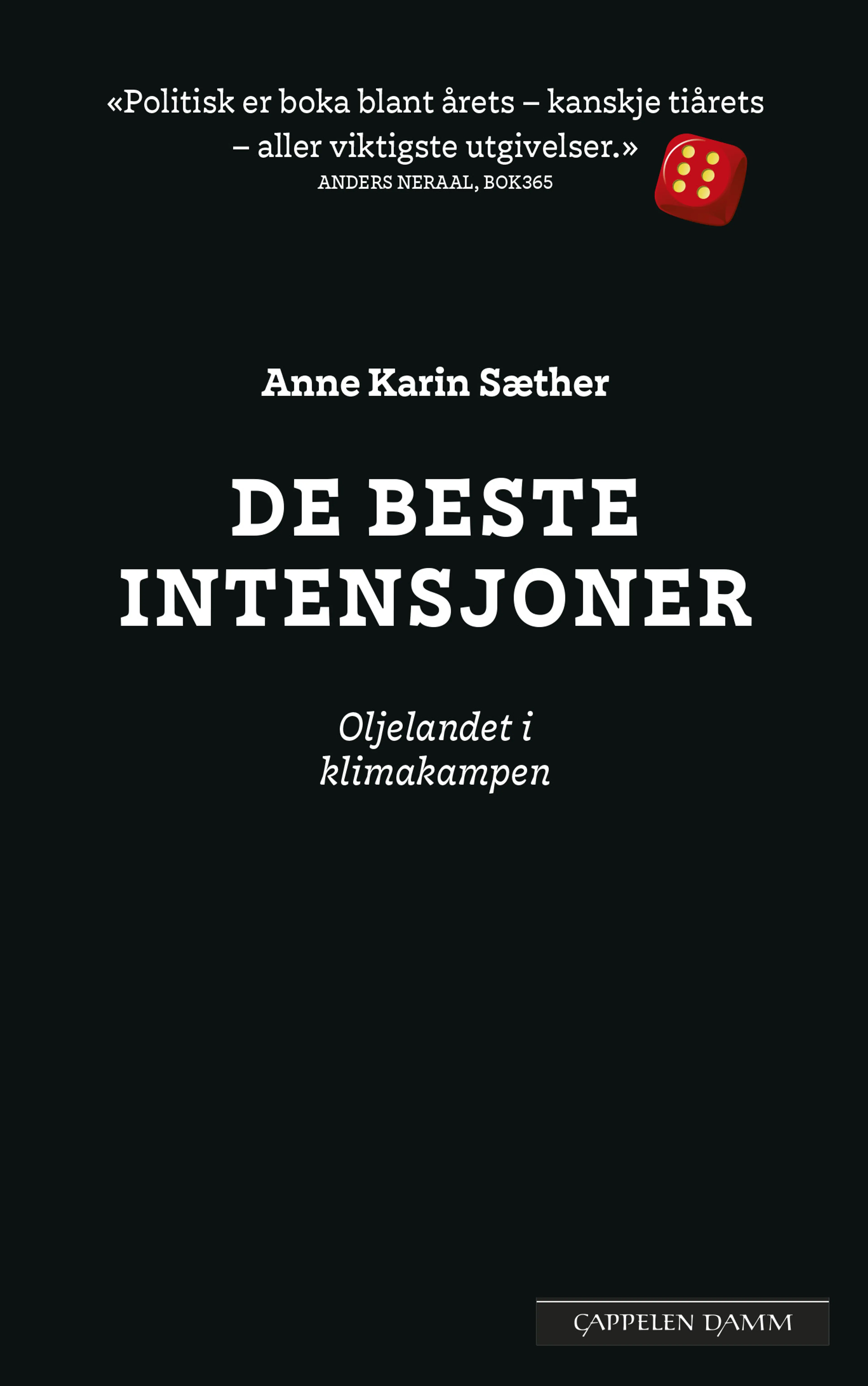 Omslag De beste intensjoner av Anne Karin Sæther (Innbundet)