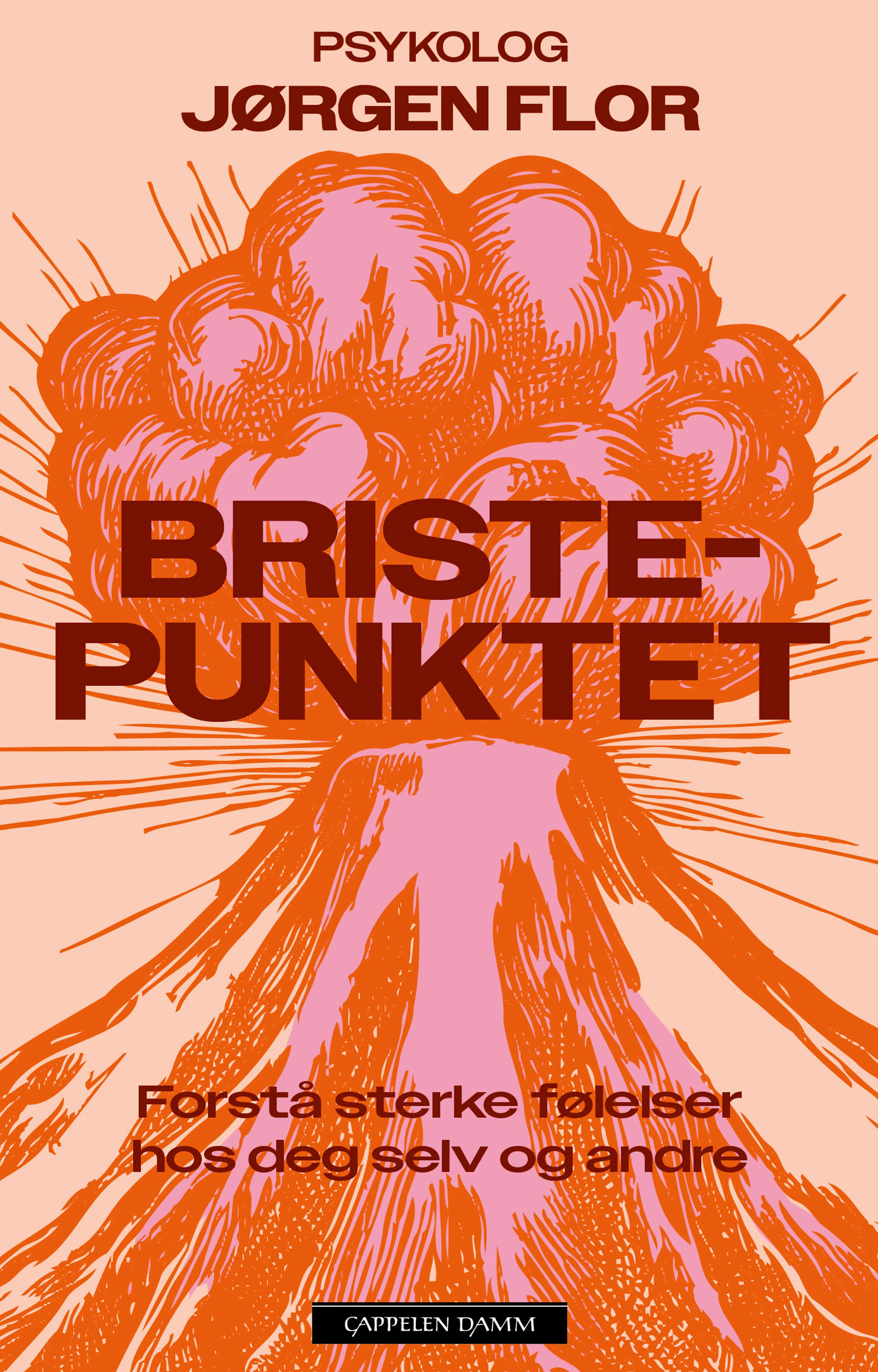Omslag Bristepunktet av Jørgen Flor (Ebok)