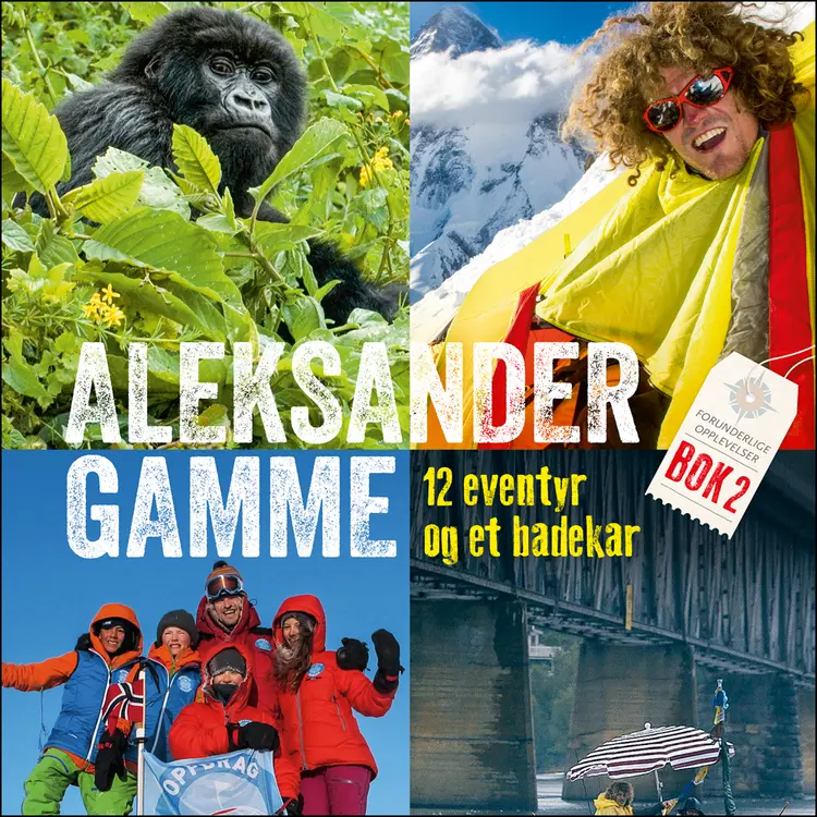 Omslag 12 eventyr og et badekar av Aleksander Gamme (Lydbok)