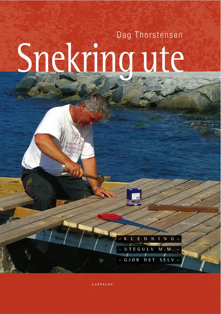Omslag Snekring ute av Dag Thorstensen (Innbundet)