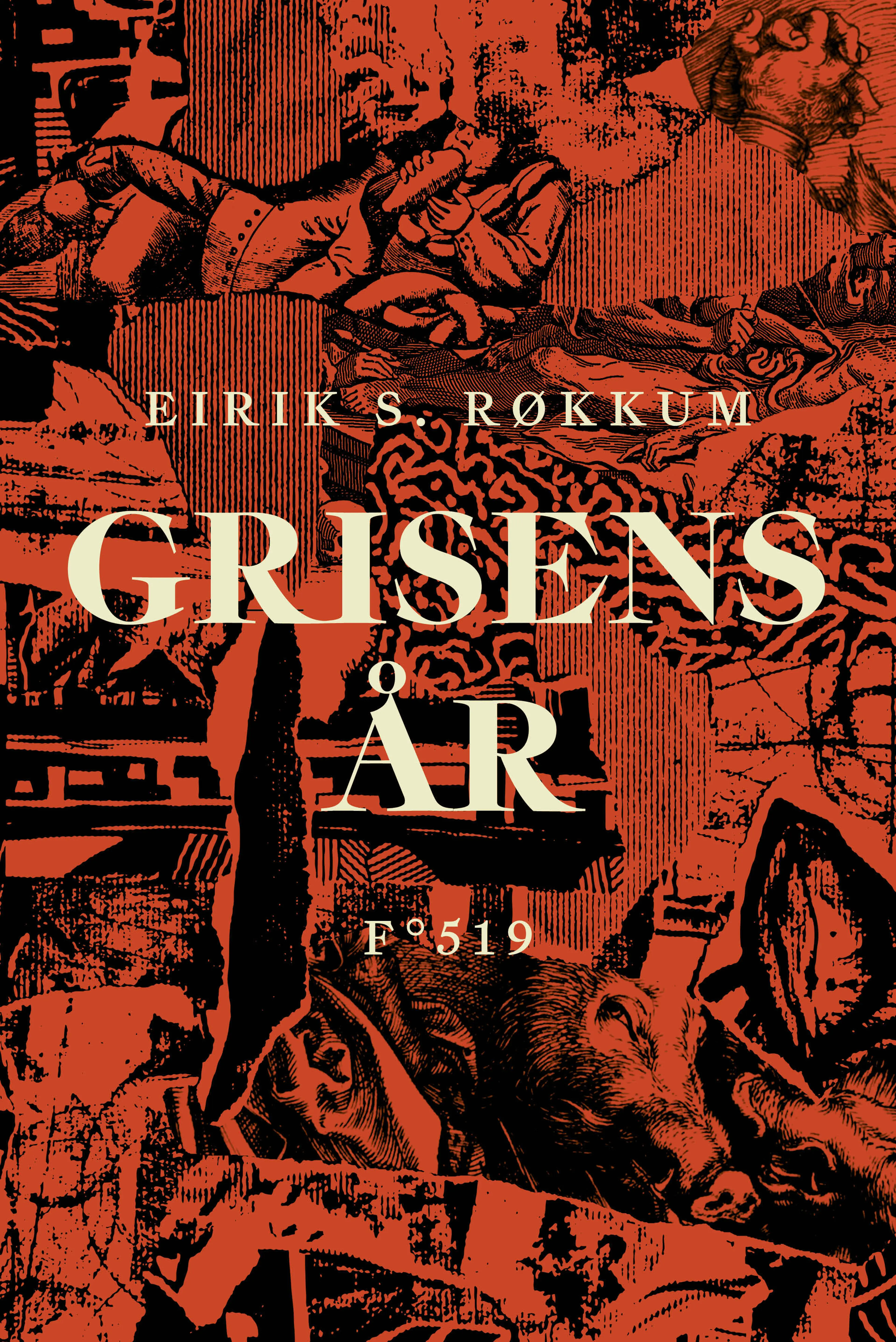 Omslag Grisens år av Eirik S. Røkkum (Ebok)