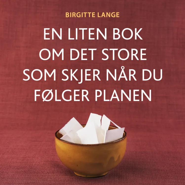 Omslag En liten bok om det store som skjer når du følger planen av Birgitte Lange (Lydbok)