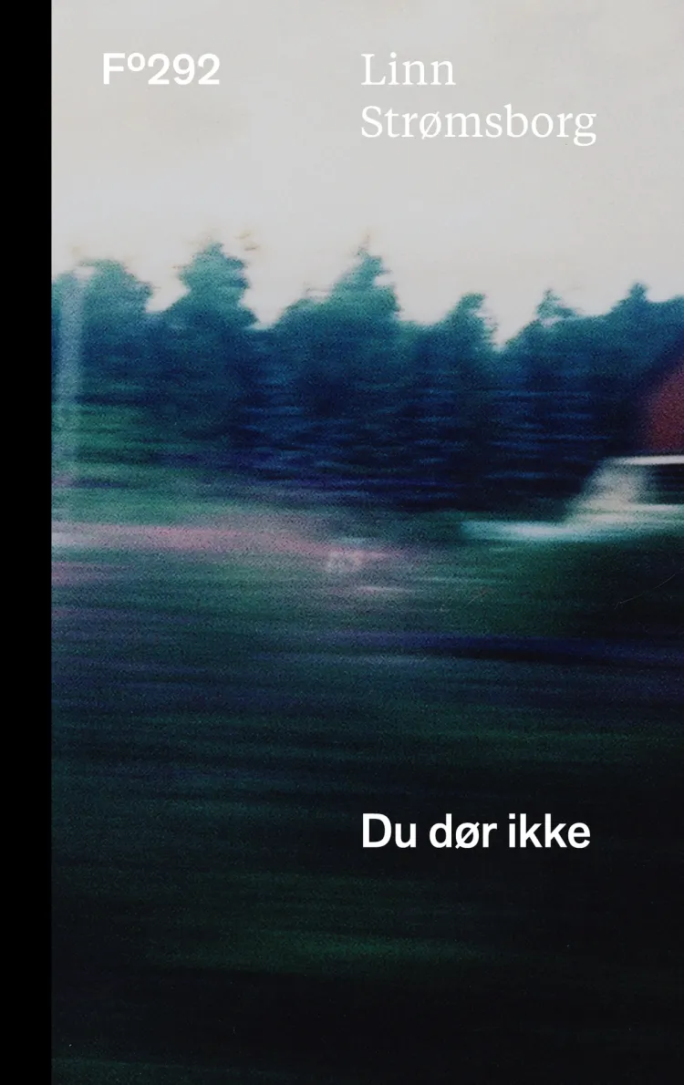 Omslag Du dør ikke av Linn Strømsborg (Innbundet)