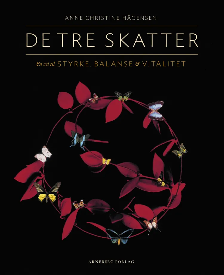 Omslag De tre skatter av Anne Christine Hågensen (Heftet)
