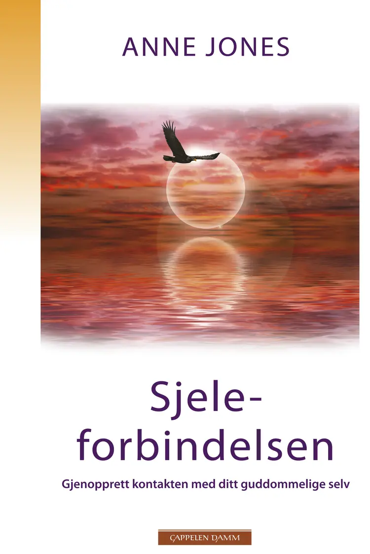 Omslag Sjeleforbindelsen av Anne Jones (Innbundet)