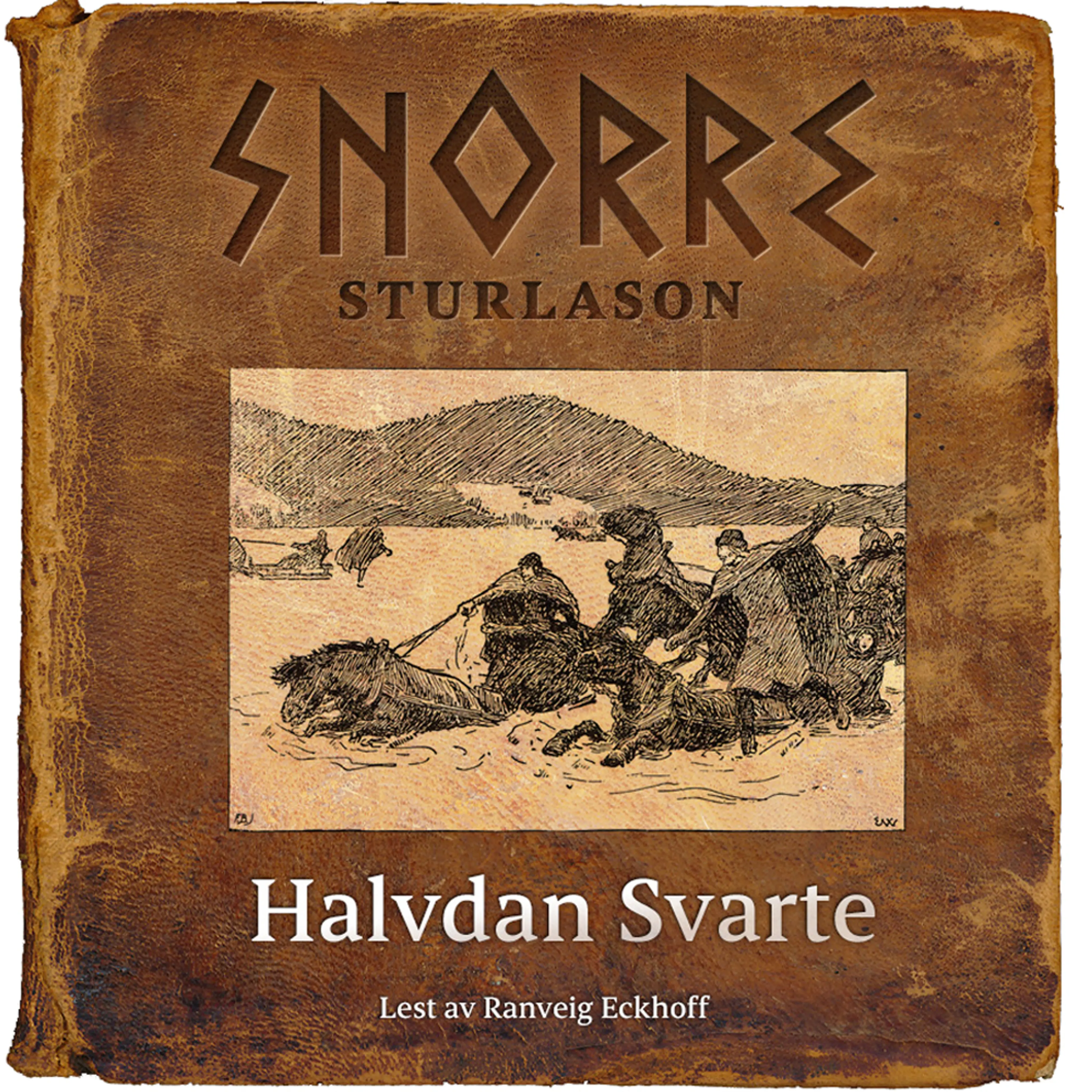 Omslag Halvdan Svarte av Snorre Sturlason (Lydbok)