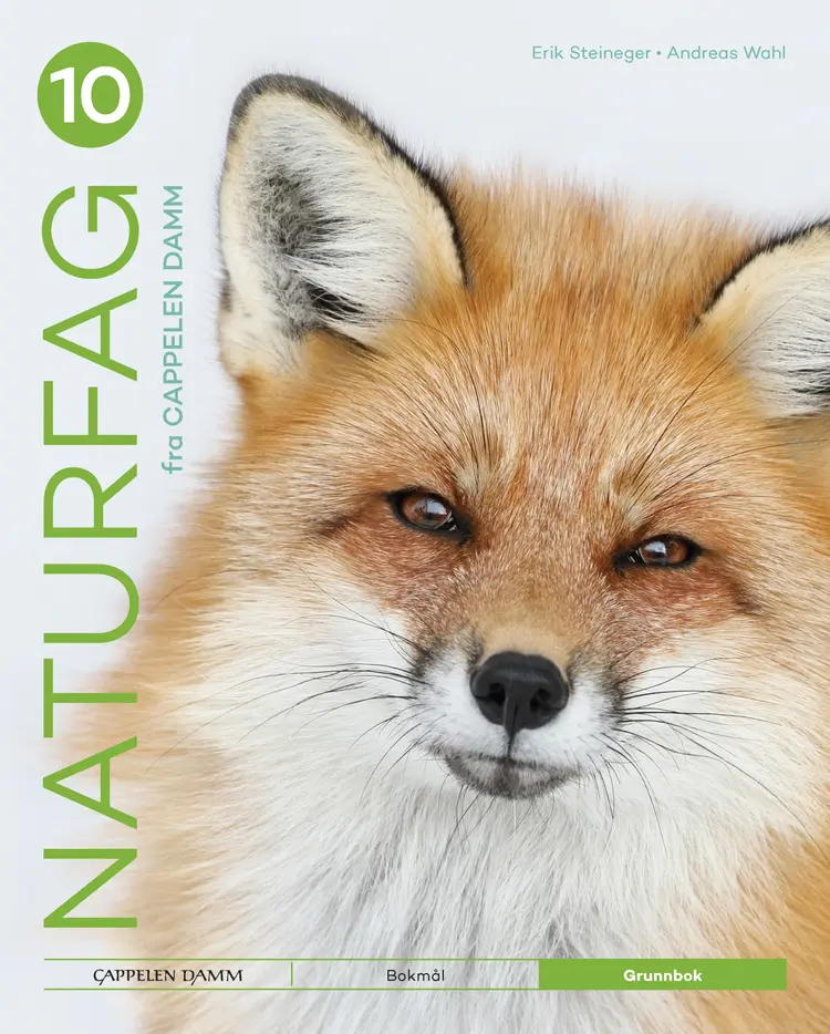 Omslag Naturfag 10 fra Cappelen Damm Grunnbok av Erik Steineger, Andreas Wahl, Kenneth Fossland og Erik Løkketangen (Innbundet)