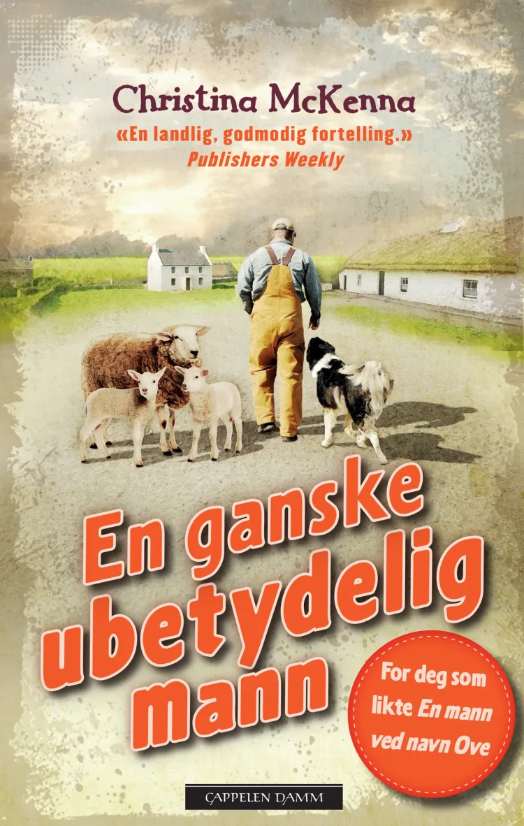 Omslag En ganske ubetydelig mann av Christina McKenna (Heftet)
