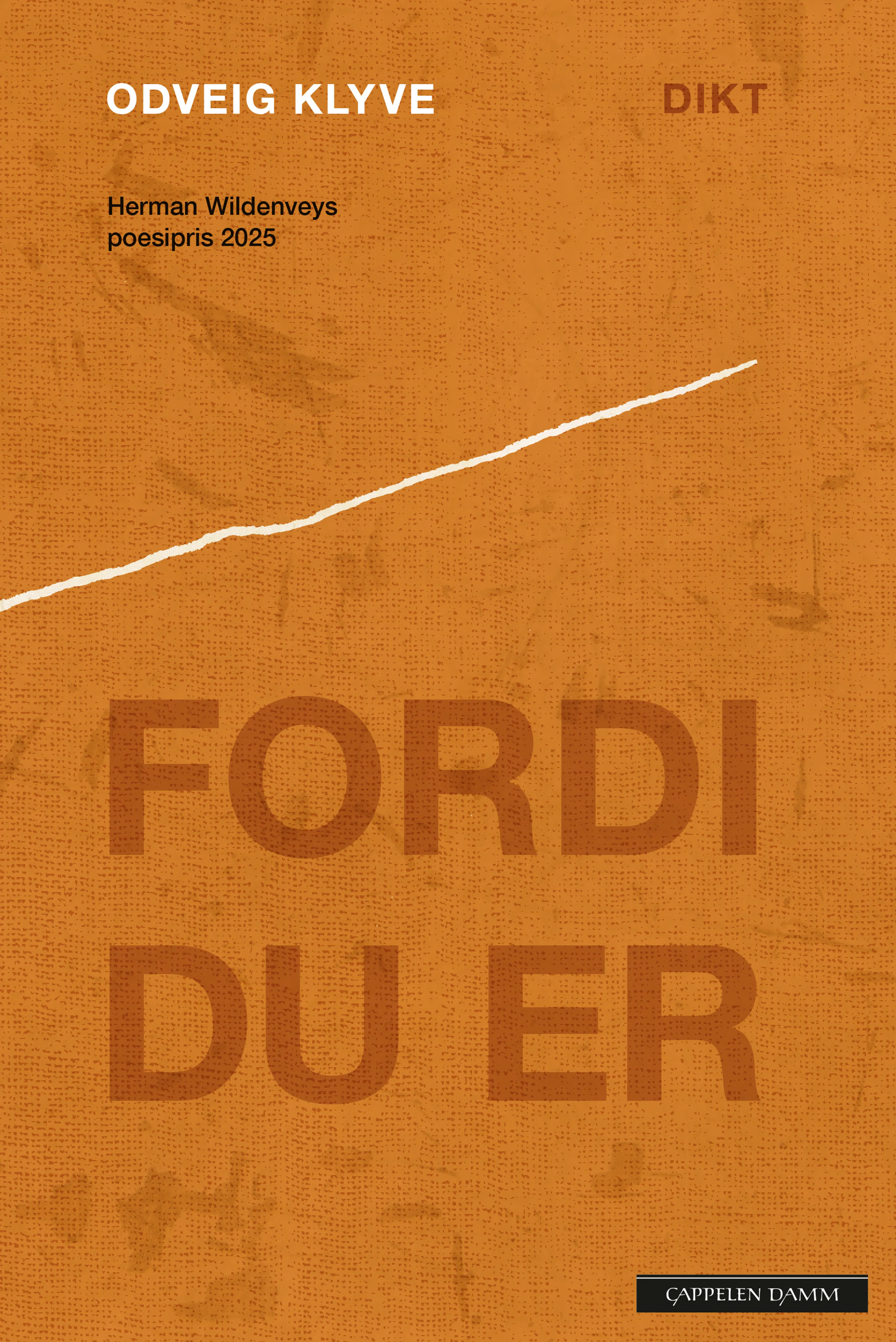 Omslag Fordi du er av Odveig Klyve (Heftet)