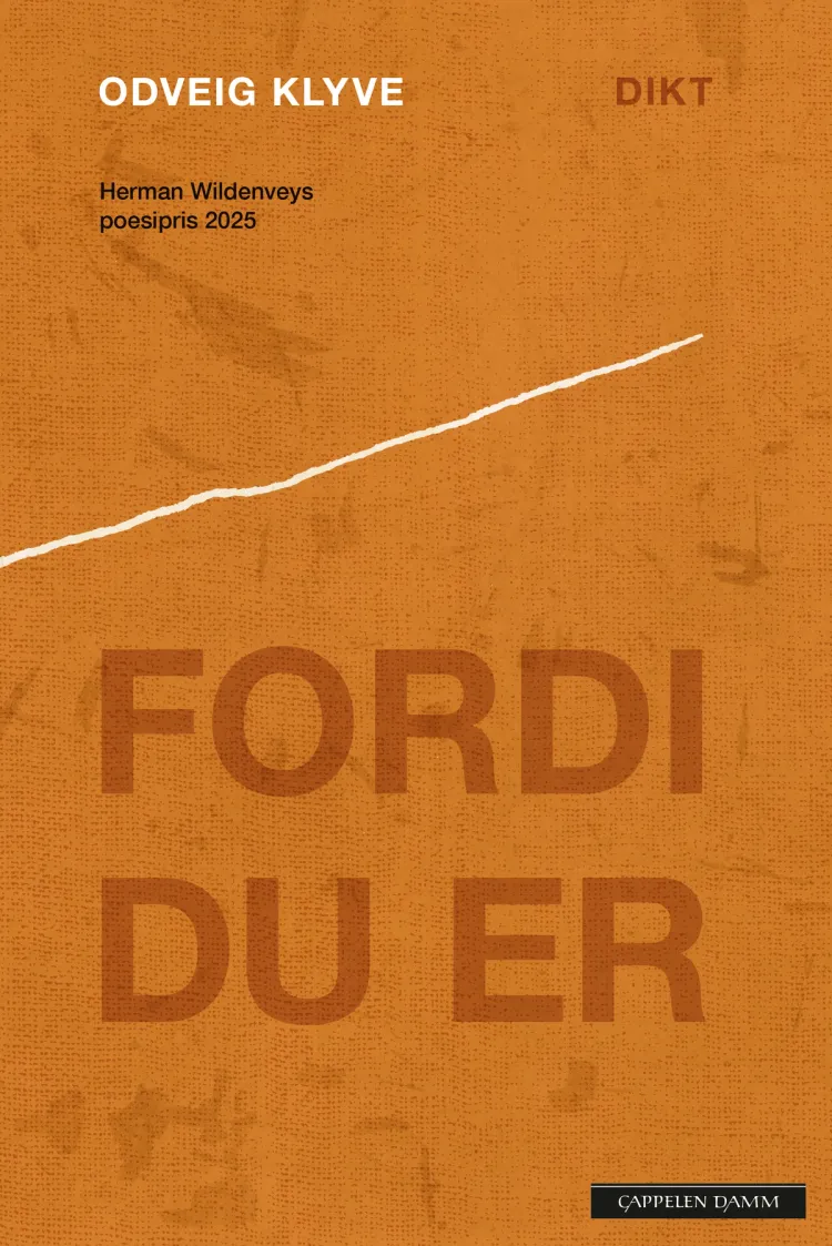 Omslag Fordi du er av Odveig Klyve (Heftet)