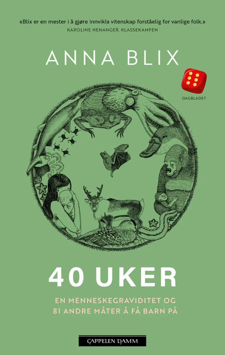 Omslag 40 uker, en menneskegraviditet og 81 andre måter å få barn på av Anna Blix (Heftet)