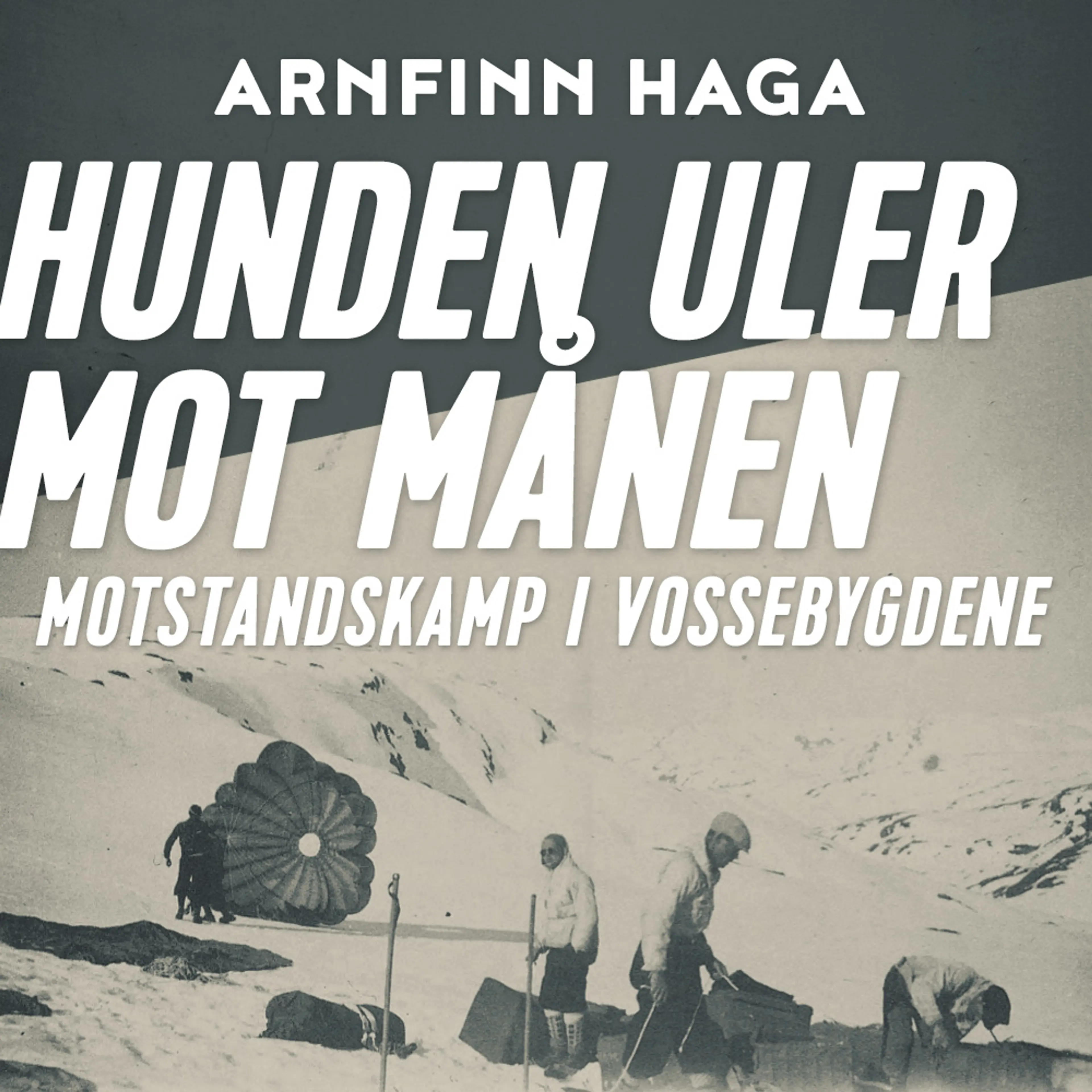 Omslag Hunden uler mot månen - Motstandskamp i Vossebygdene av Arnfinn Haga (Lydbok)