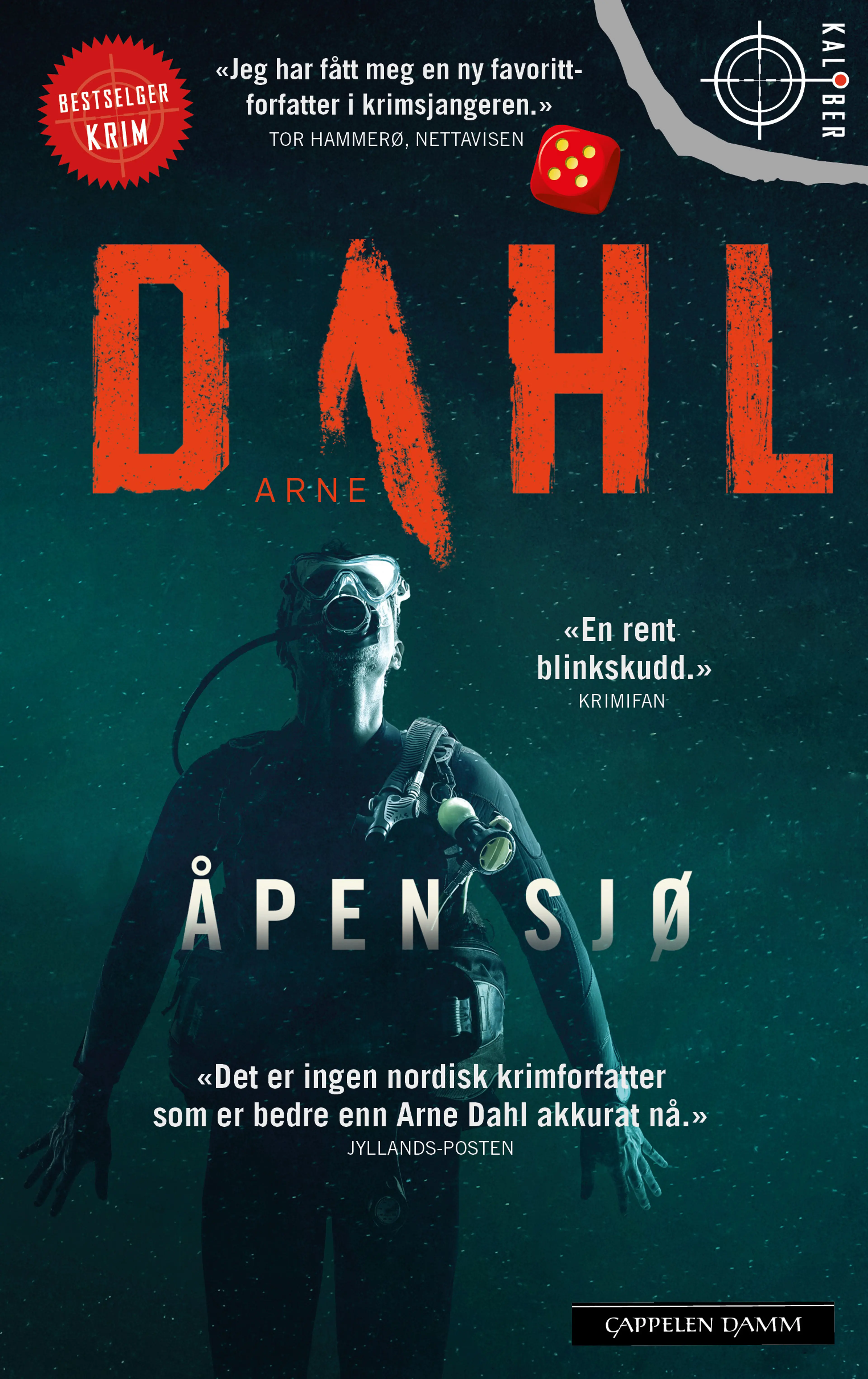 Omslag Åpen sjø av Arne Dahl (Heftet)