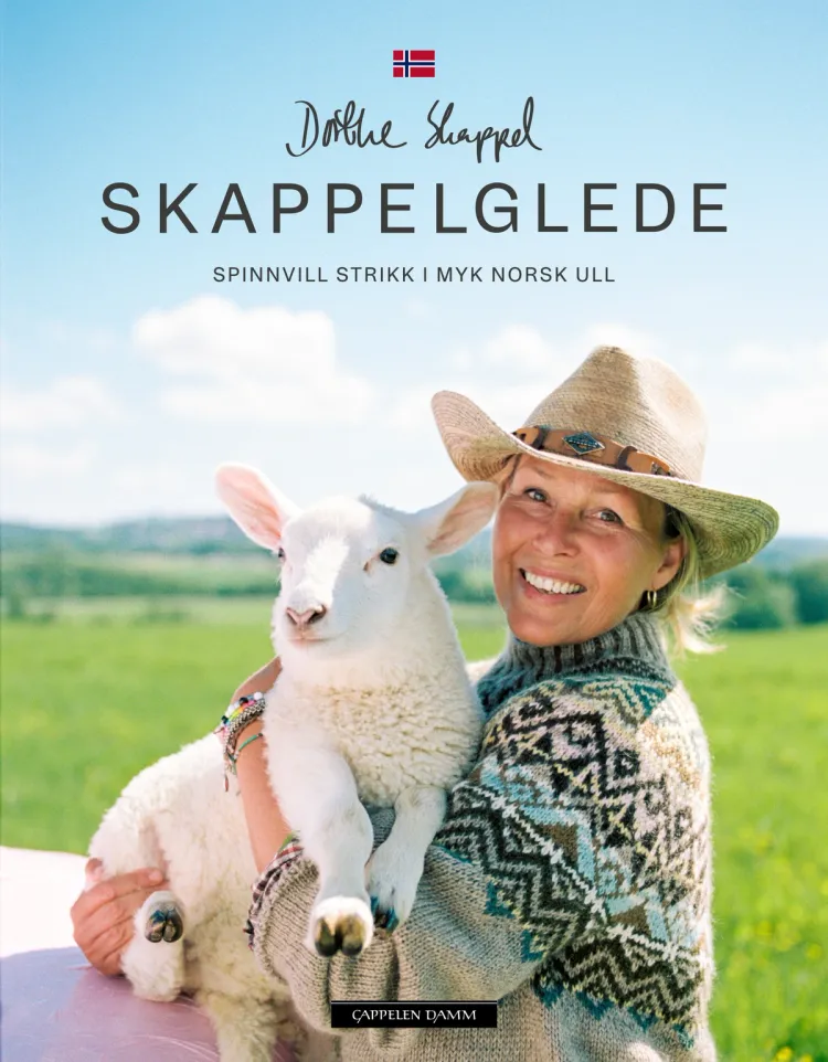 Omslag Skappelglede av Dorthe Skappel (Innbundet)