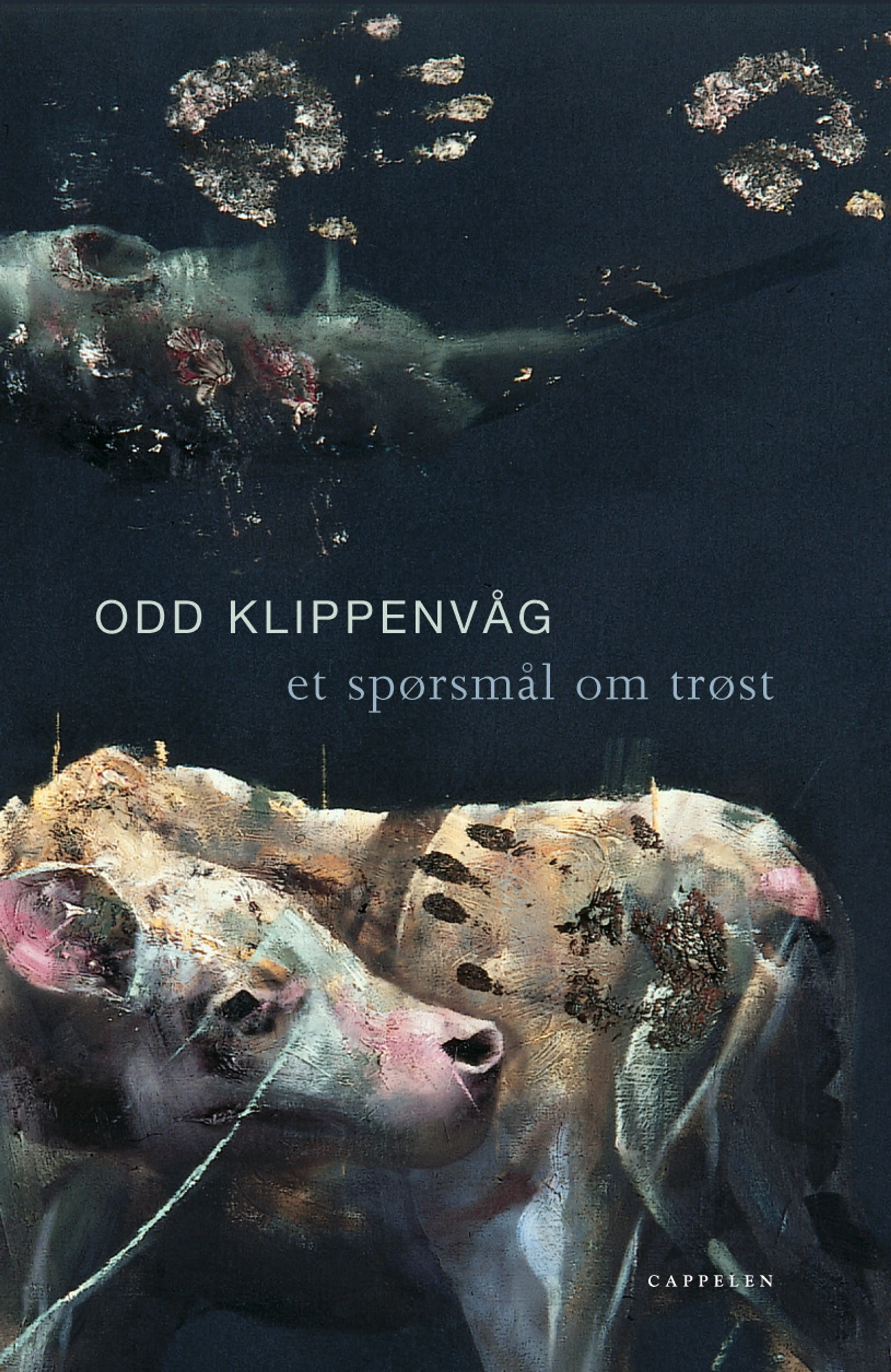 Omslag Et spørsmål om trøst av Odd Klippenvåg (Innbundet)