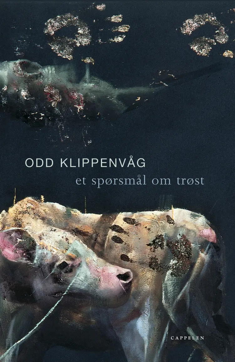 Omslag Et spørsmål om trøst av Odd Klippenvåg (Innbundet)