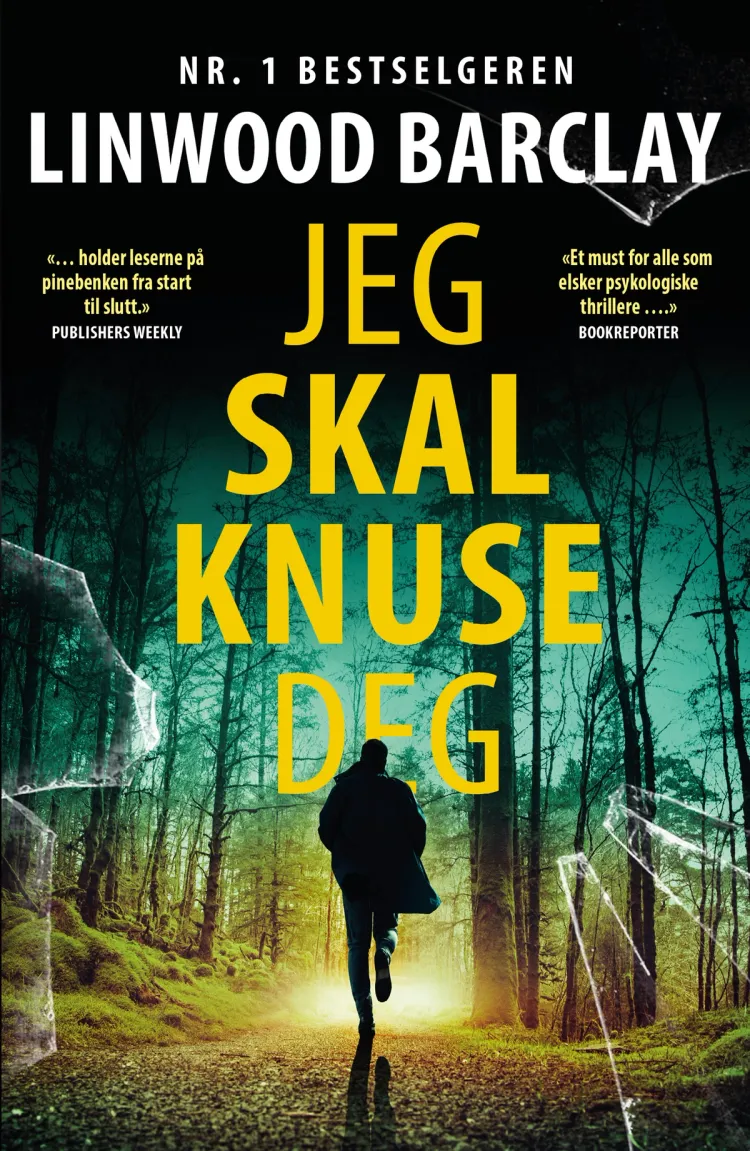 Omslag Jeg skal knuse deg av Linwood Barclay (Ebok)