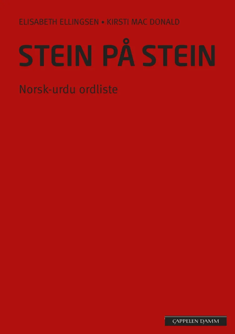 Omslag Stein på stein Norsk-urdu ordliste (2014) av Elisabeth Ellingsen og Kirsti Mac Donald (Heftet)