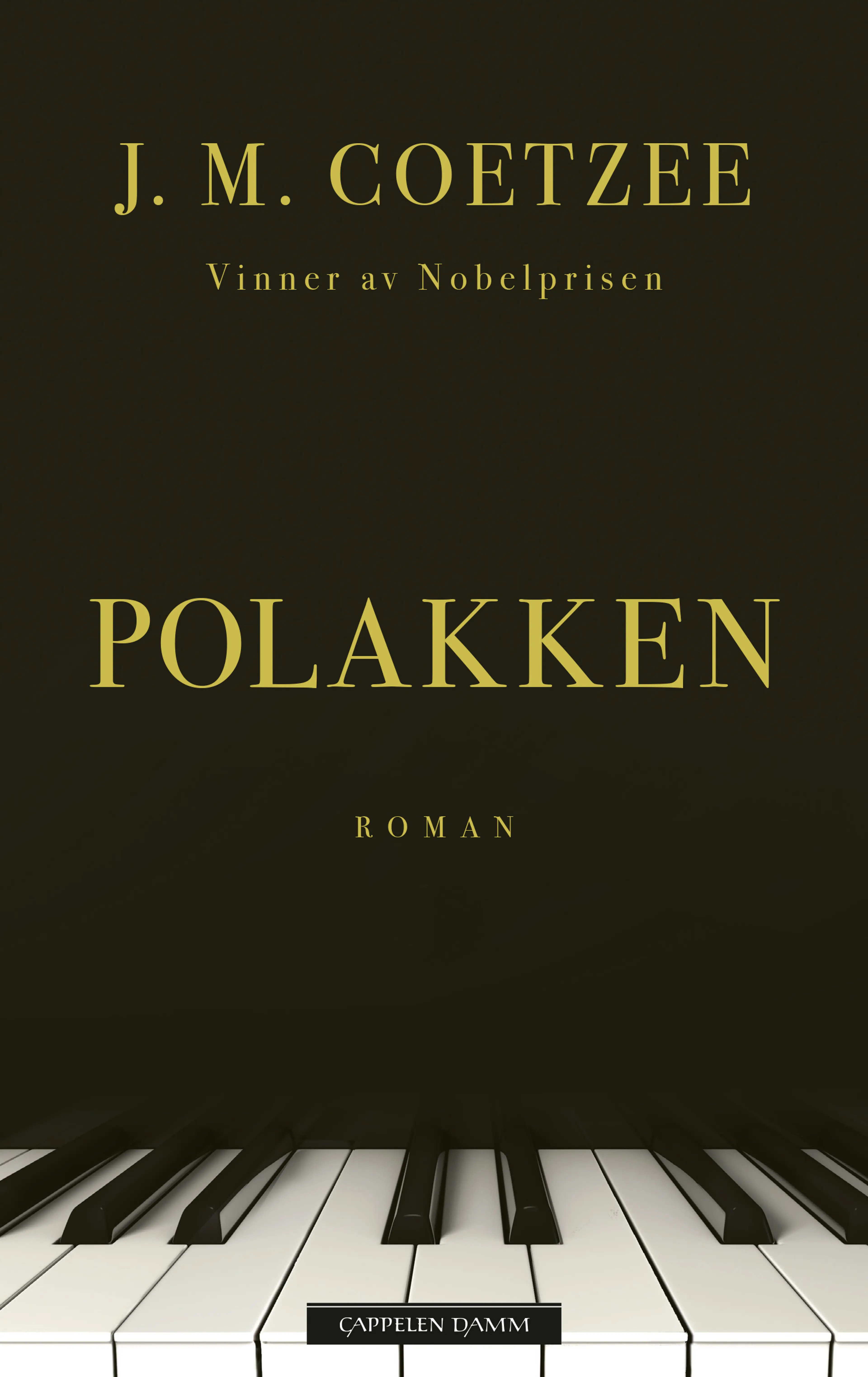Omslag Polakken av J.M. Coetzee (Ebok)