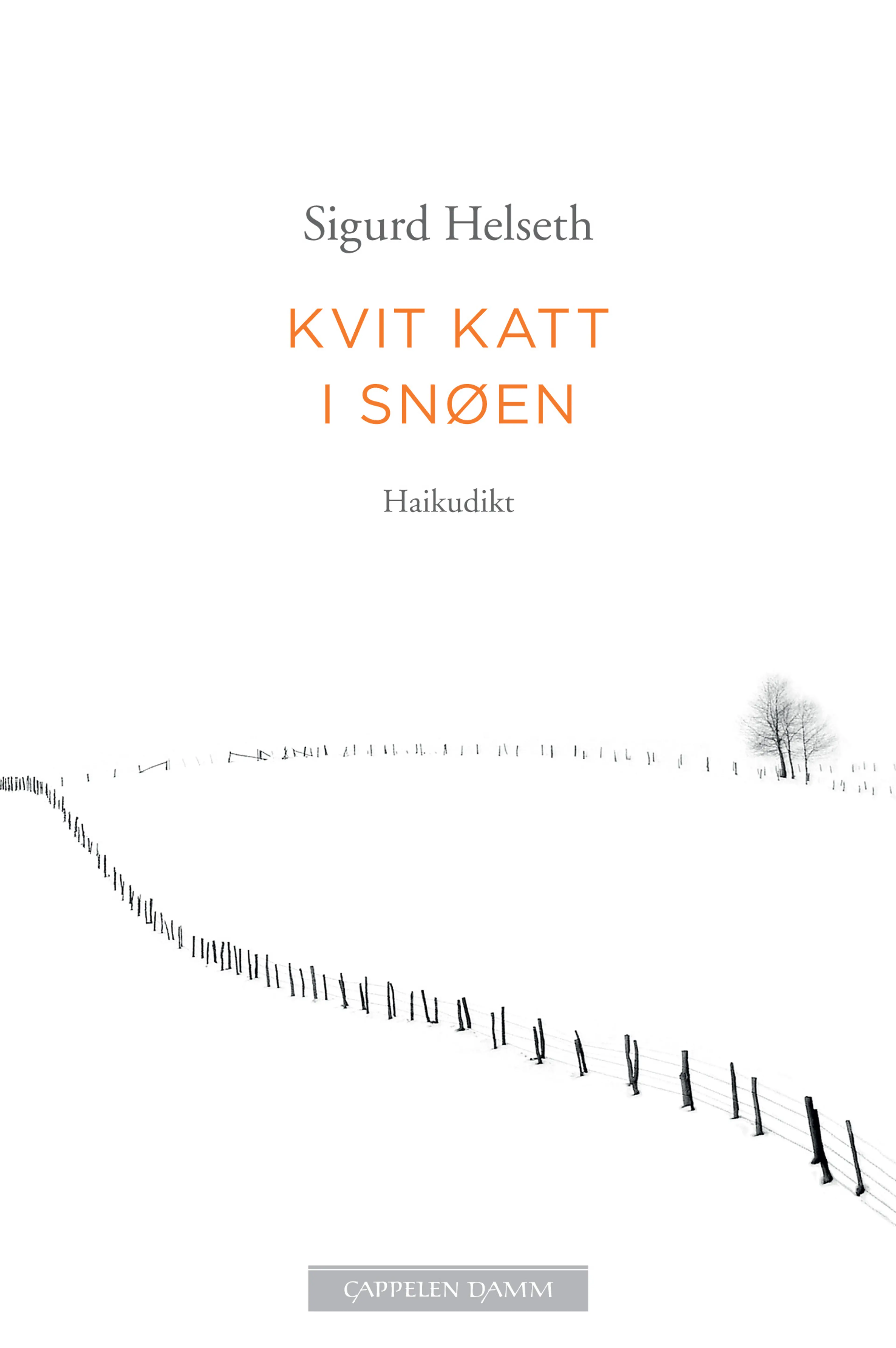 Omslag Kvit katt i snøen av Sigurd Helseth (Ebok)
