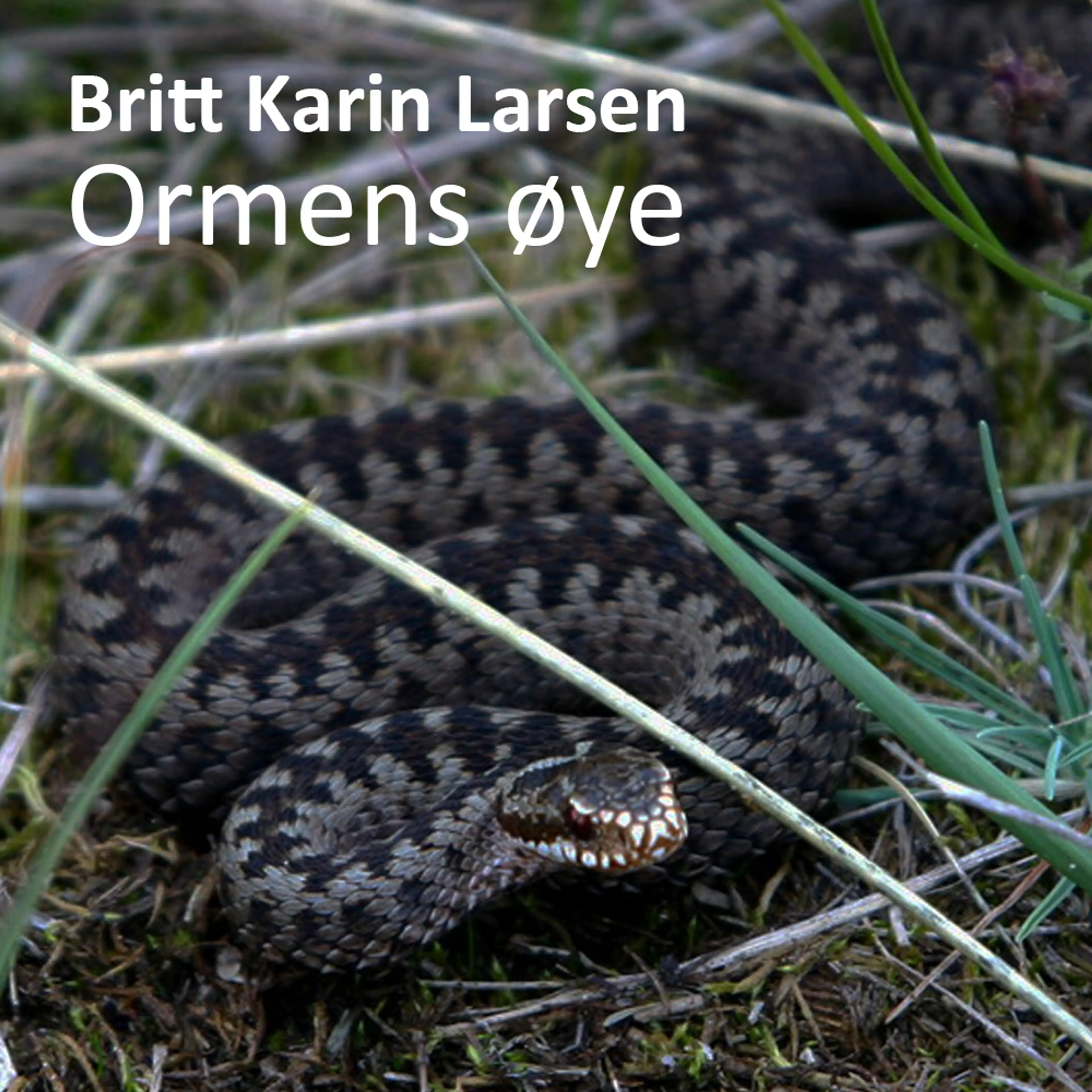 Omslag Ormens øye av Britt Karin Larsen (Lydbok)