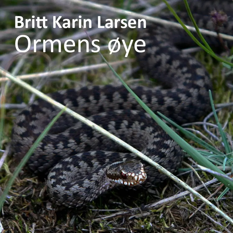 Omslag Ormens øye av Britt Karin Larsen (Lydbok)