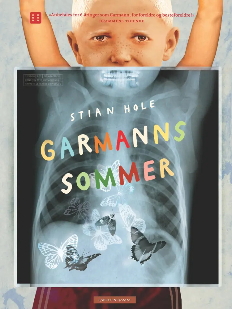 Omslag Garmanns sommer av Stian Hole (Innbundet)