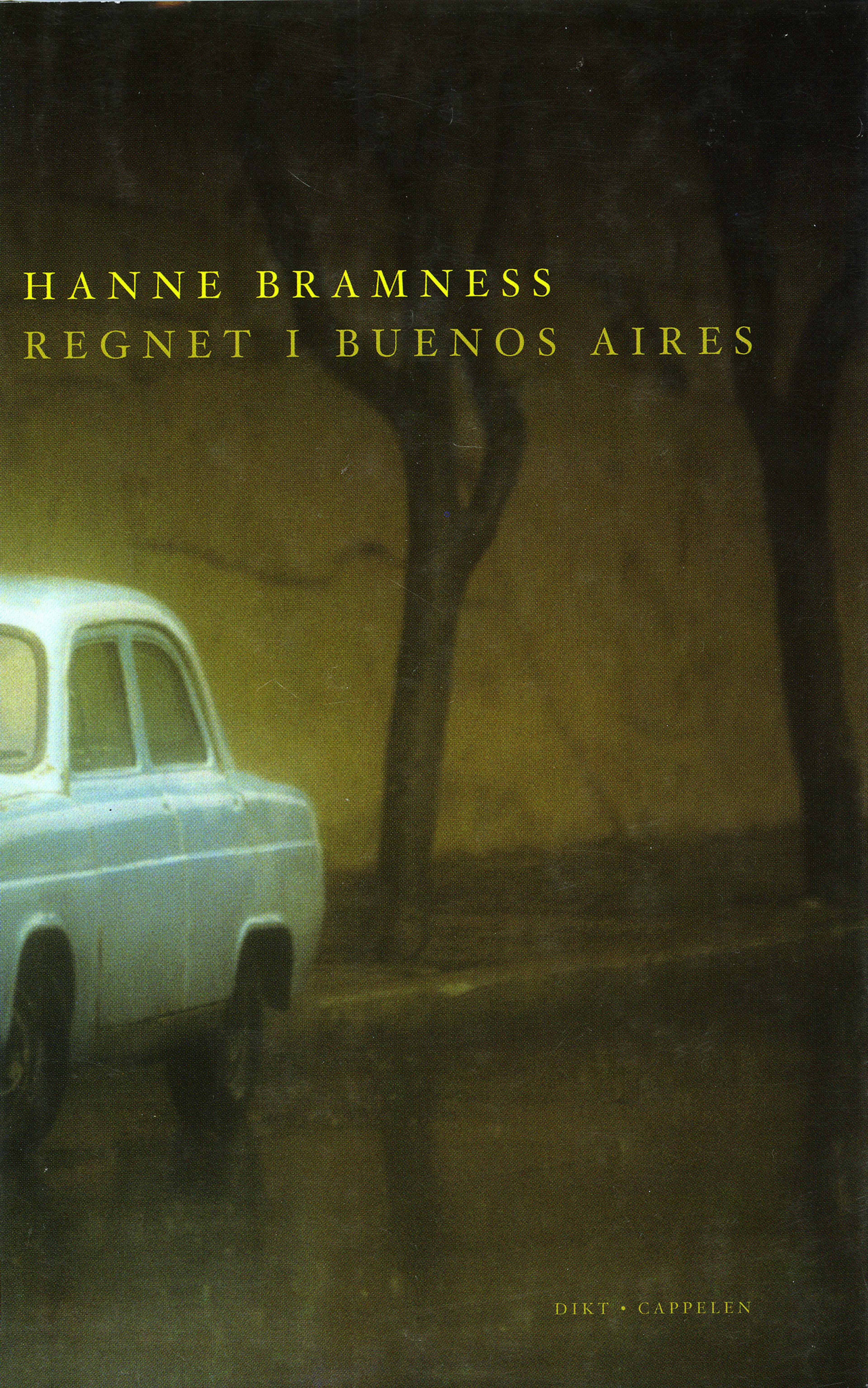 Omslag Regnet i Buenos Aires av Hanne Bramness (Innbundet)