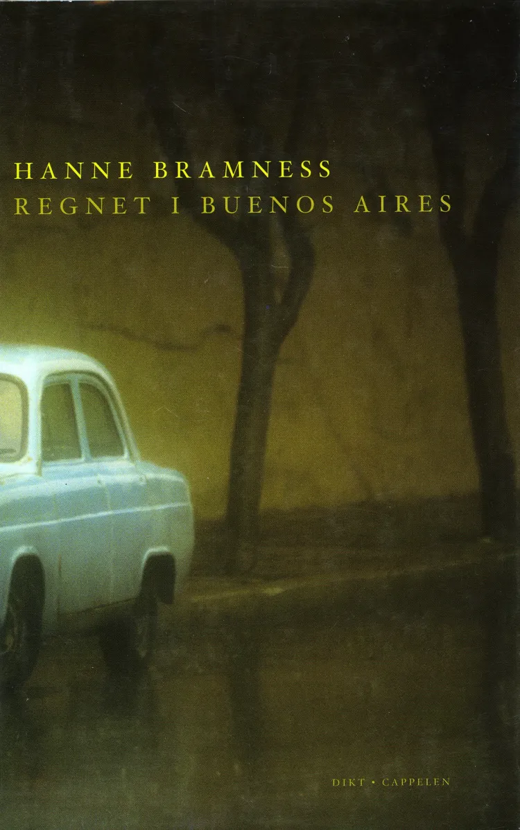 Omslag Regnet i Buenos Aires av Hanne Bramness (Innbundet)