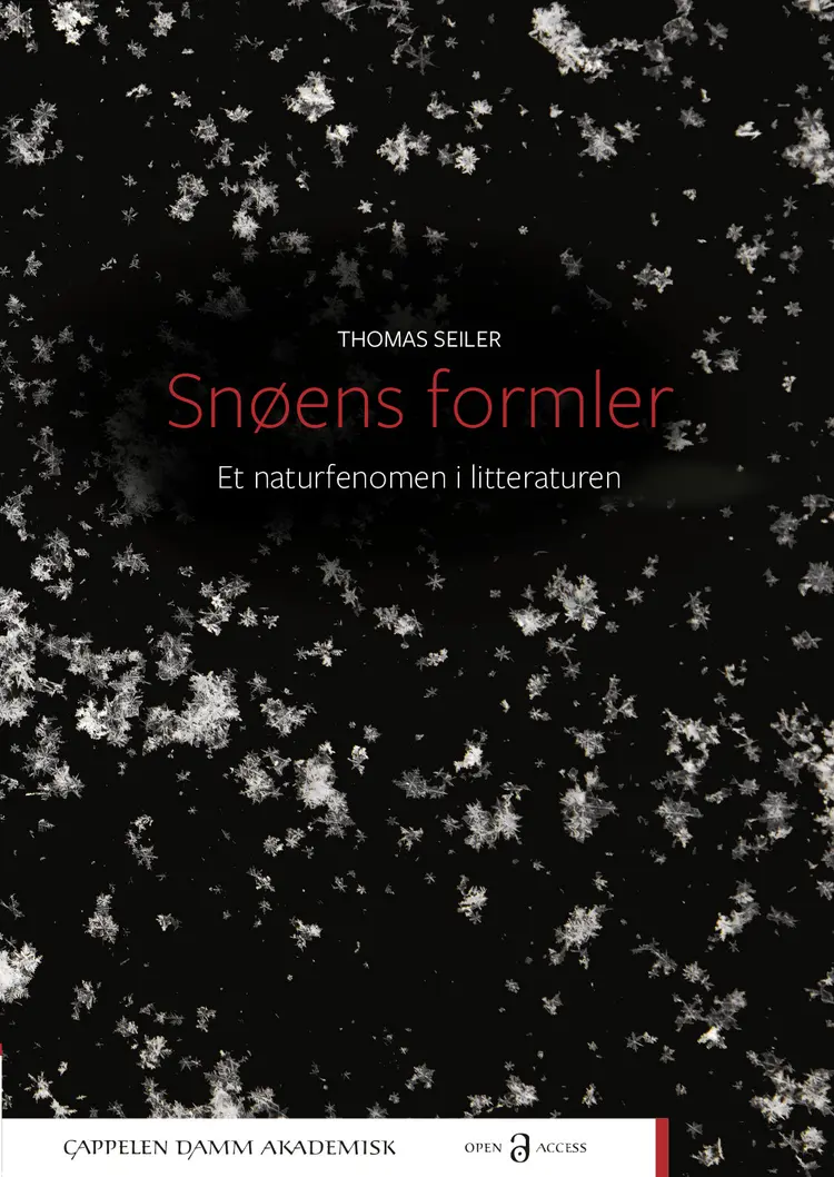 Omslag Snøens formler av Thomas Seiler (Ebok)