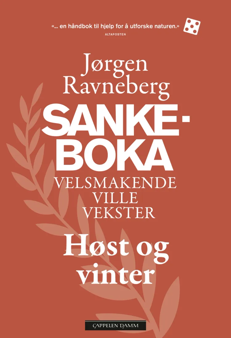 Omslag Sankeboka høst og vinter av Jørgen Ravneberg (Innbundet)