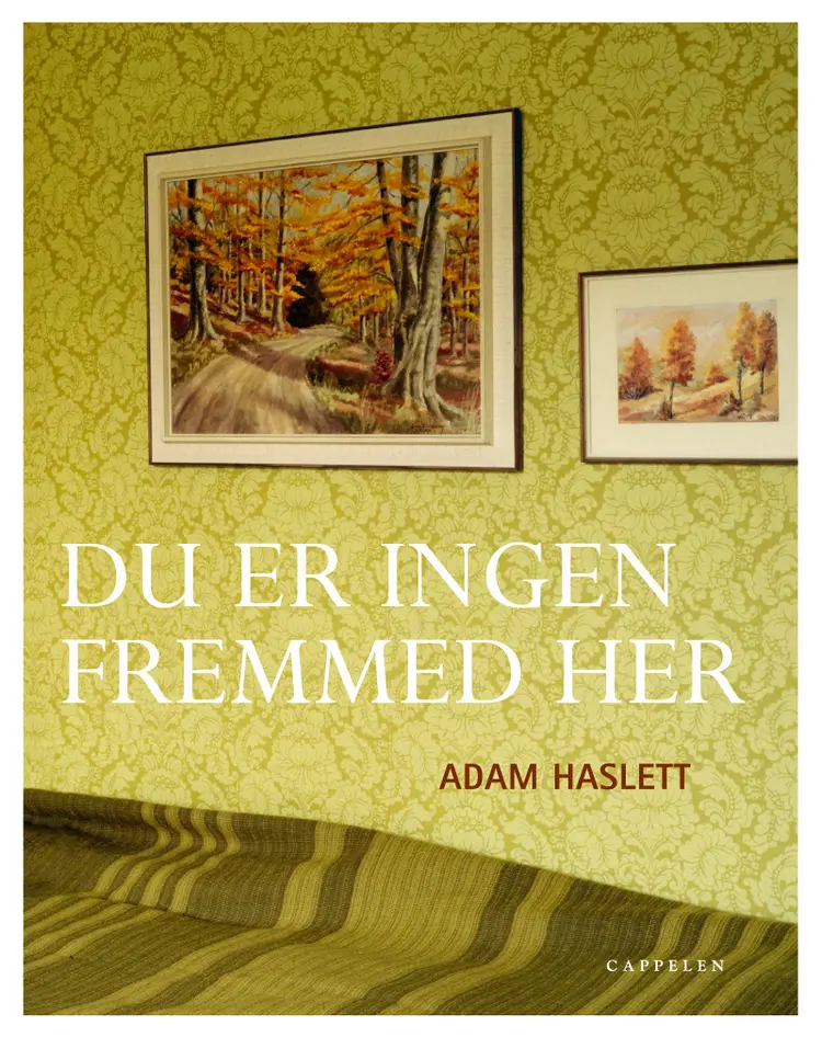 Omslag Du er ingen fremmed her av Adam Haslett (Innbundet)