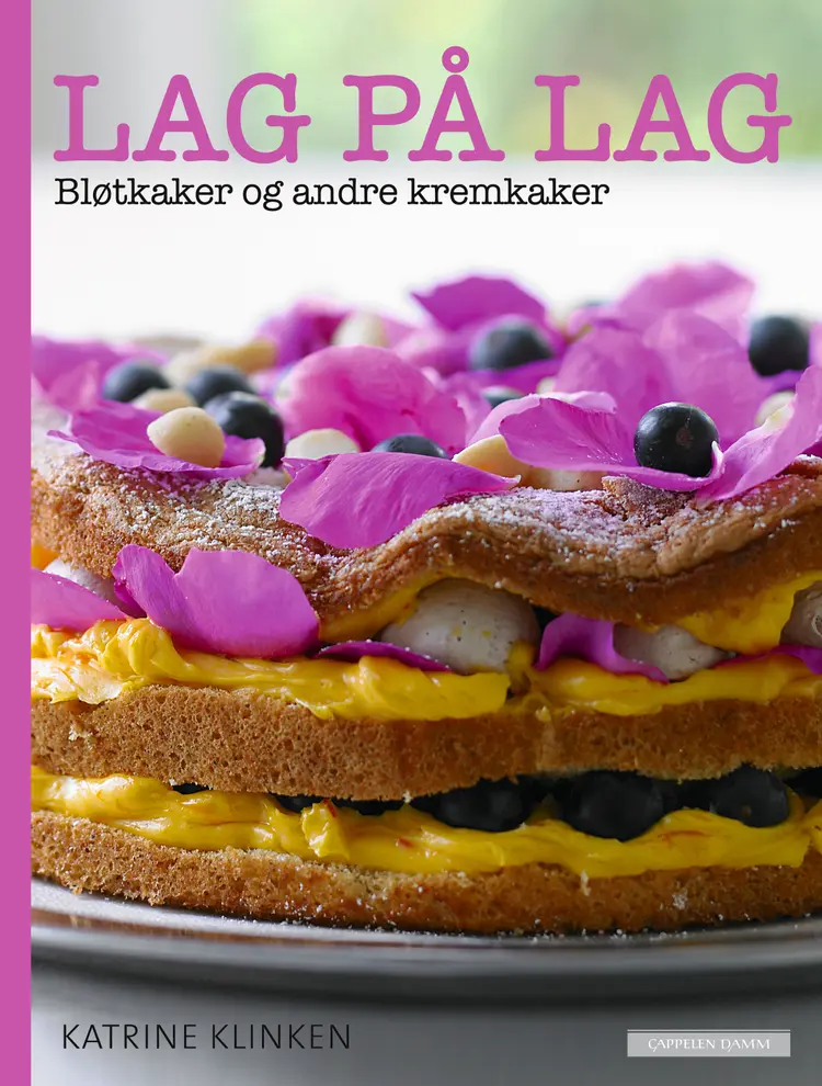 Omslag Lag på lag av Katrine Klinken (Innbundet)