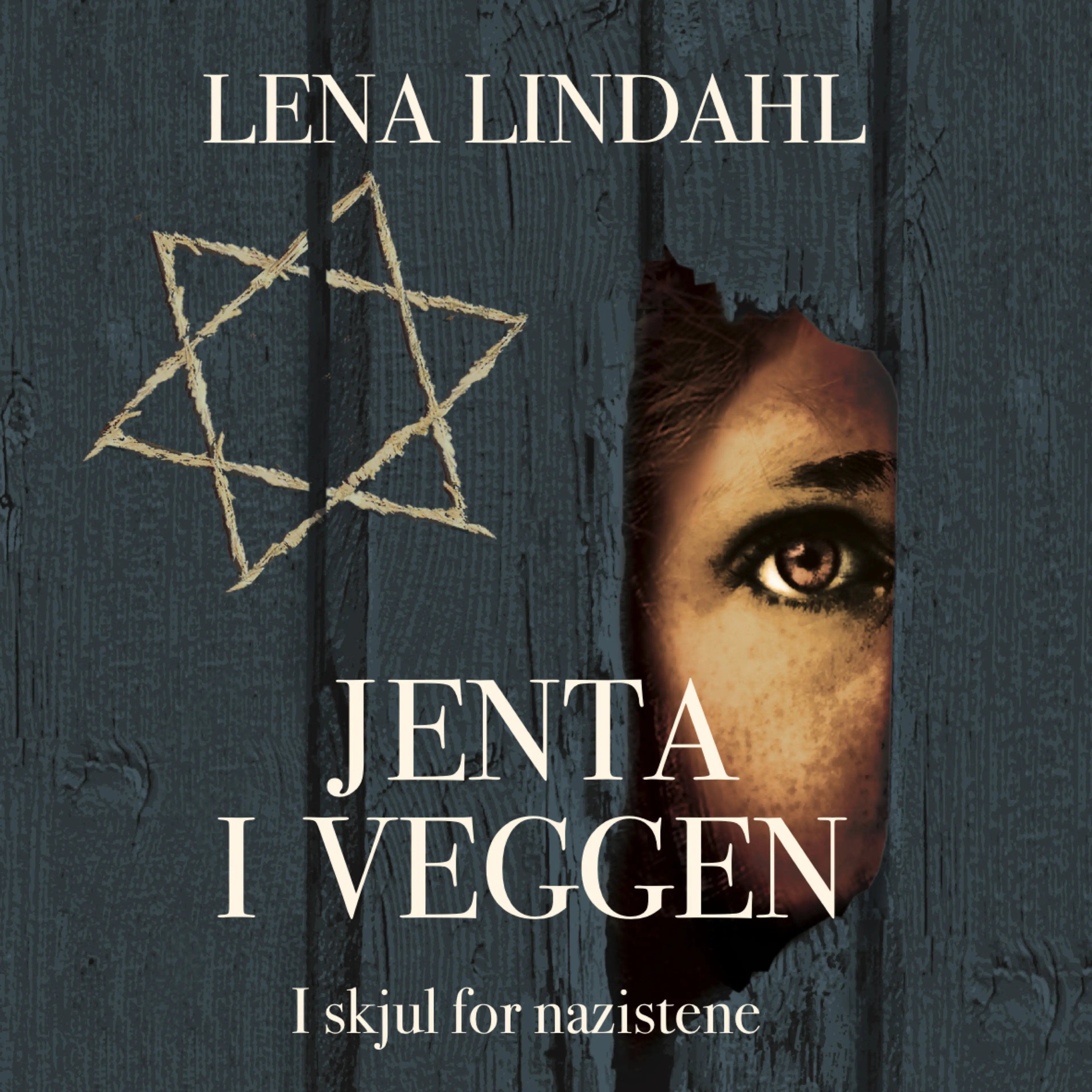Omslag Jenta i veggen av Lena Lindahl (Lydbok)