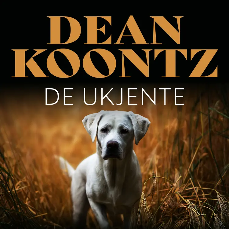 Omslag De ukjente av Dean Koontz (Lydbok)