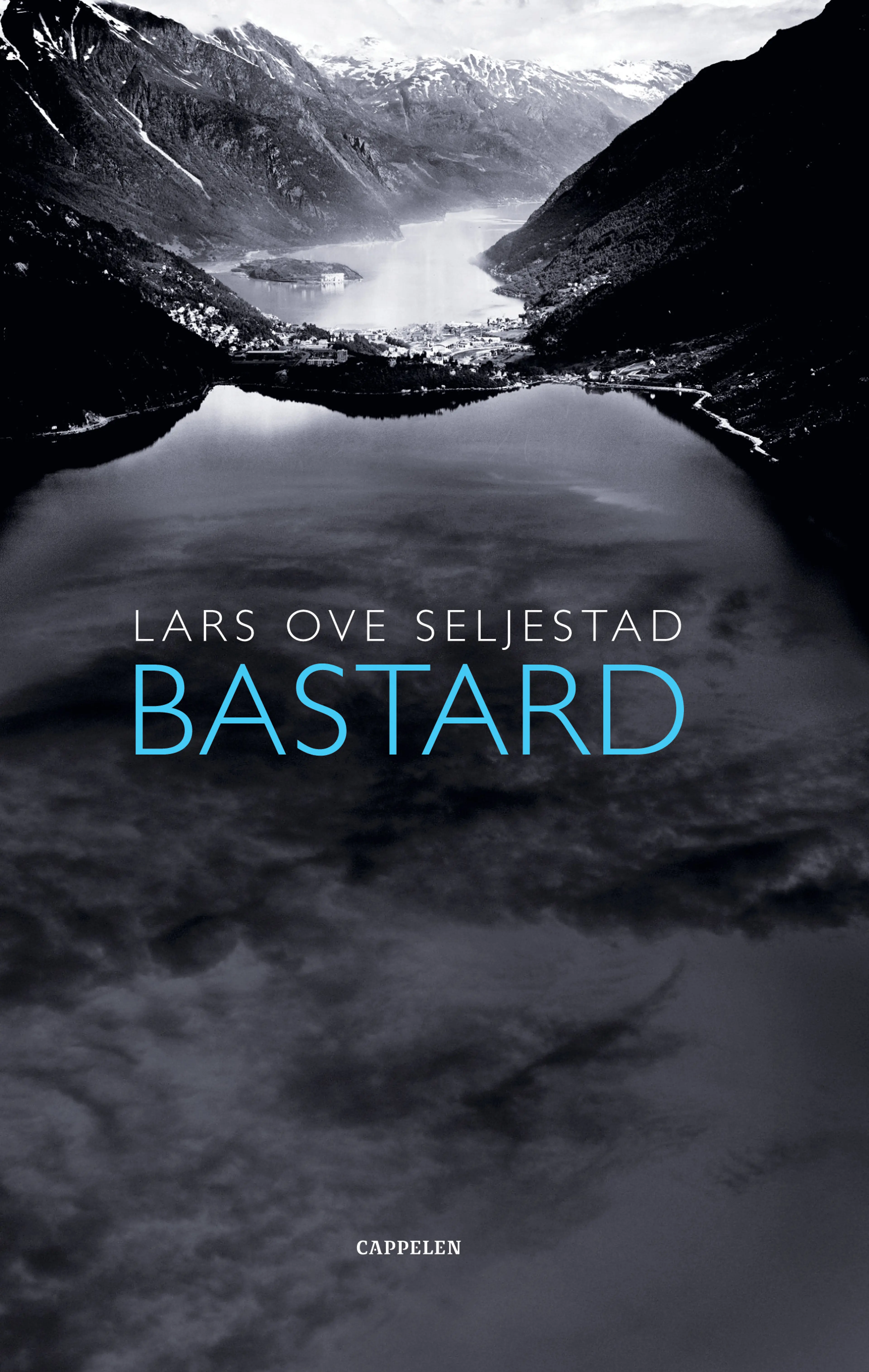 Omslag Bastard av Lars Ove Seljestad (Innbundet)