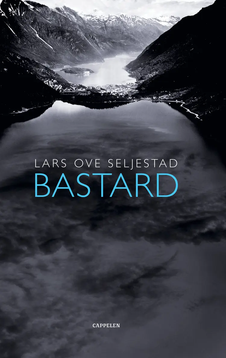 Omslag Bastard av Lars Ove Seljestad (Innbundet)