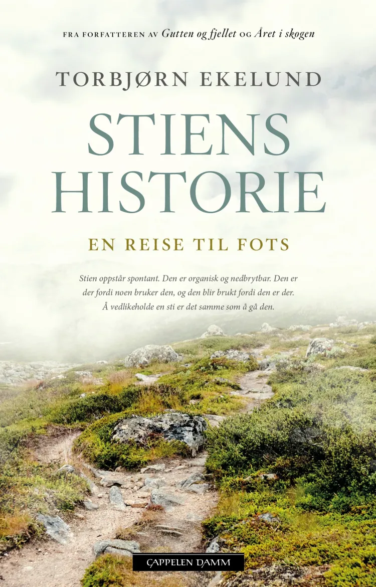 Omslag Stiens historie av Torbjørn Ekelund (Heftet)